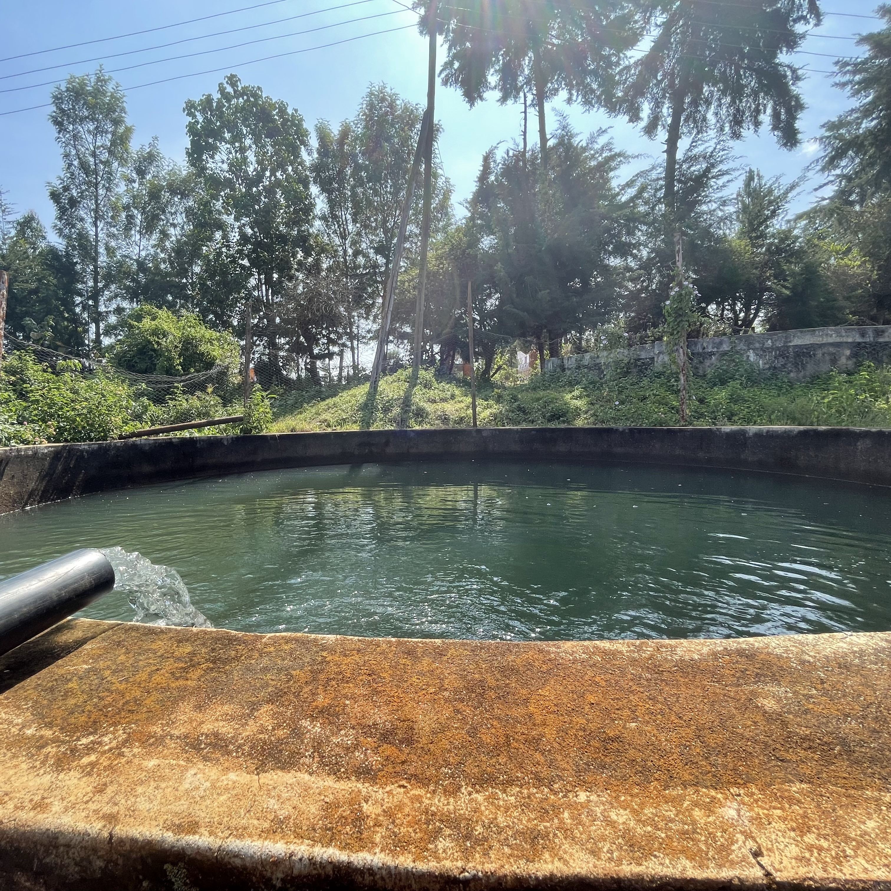 Kenya Kieni Washed(24/25年クロップ) | ORIGIN COUNTRIES for Small